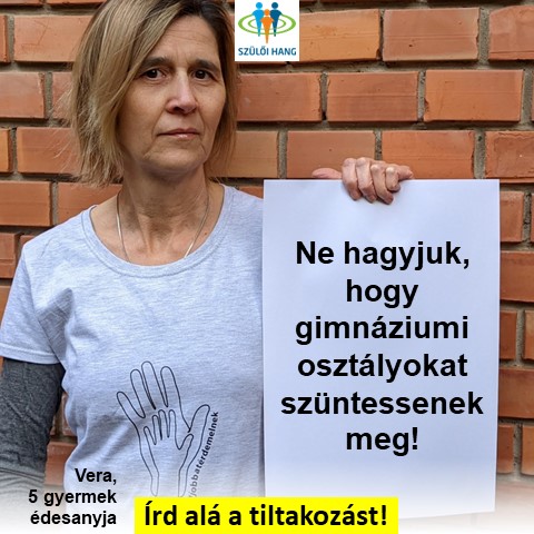 Ne hagyjuk, hogy gimnáziumi osztályokat szüntessenek meg!
